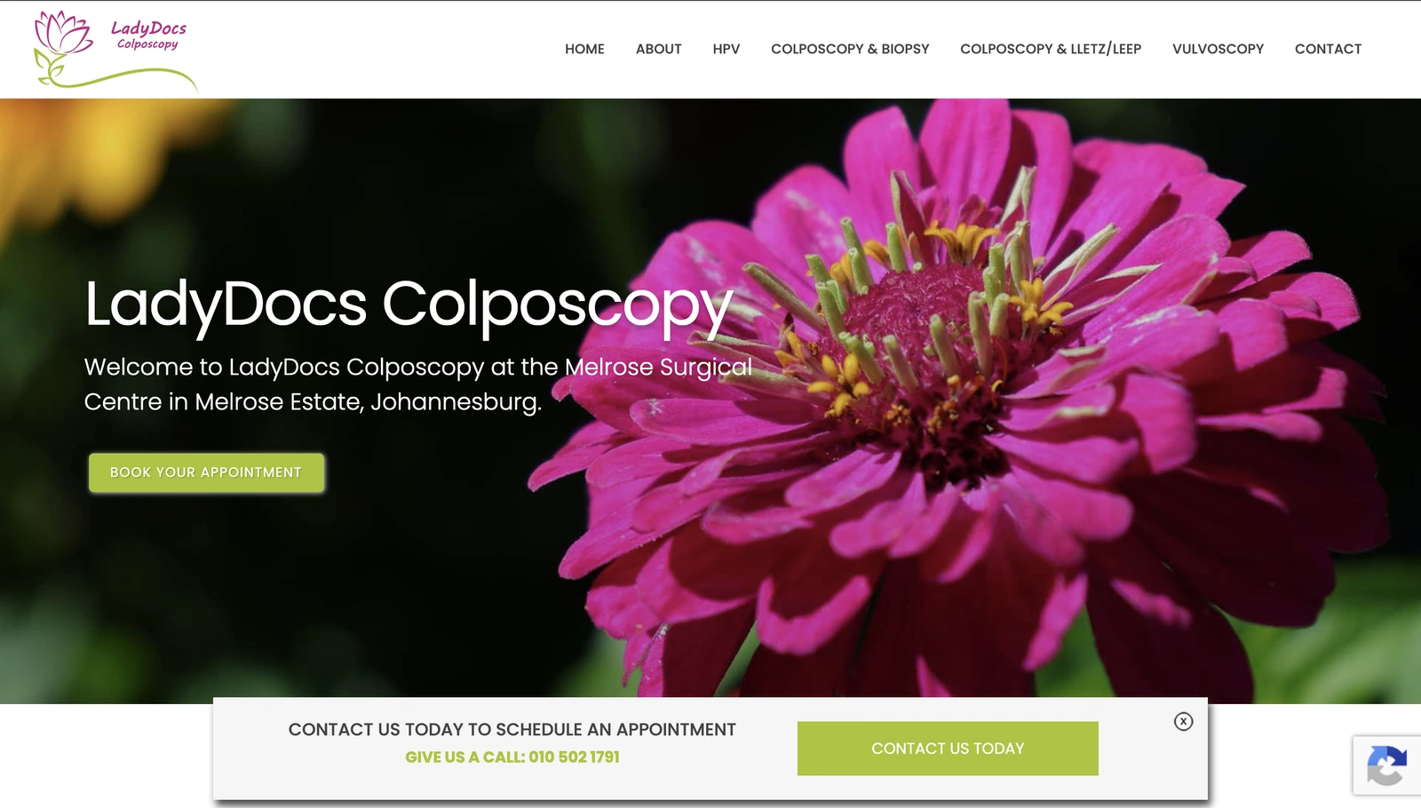 A gynaecology website by Avily