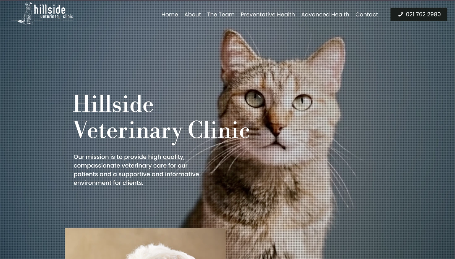 A veterinary website by Avily