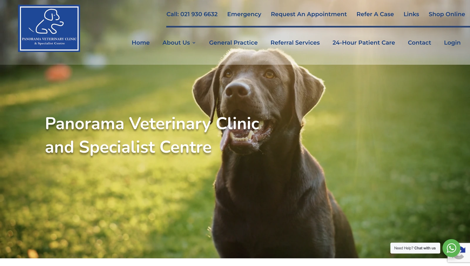 Panorama Veterinary Clinic, a vet website built by Avily